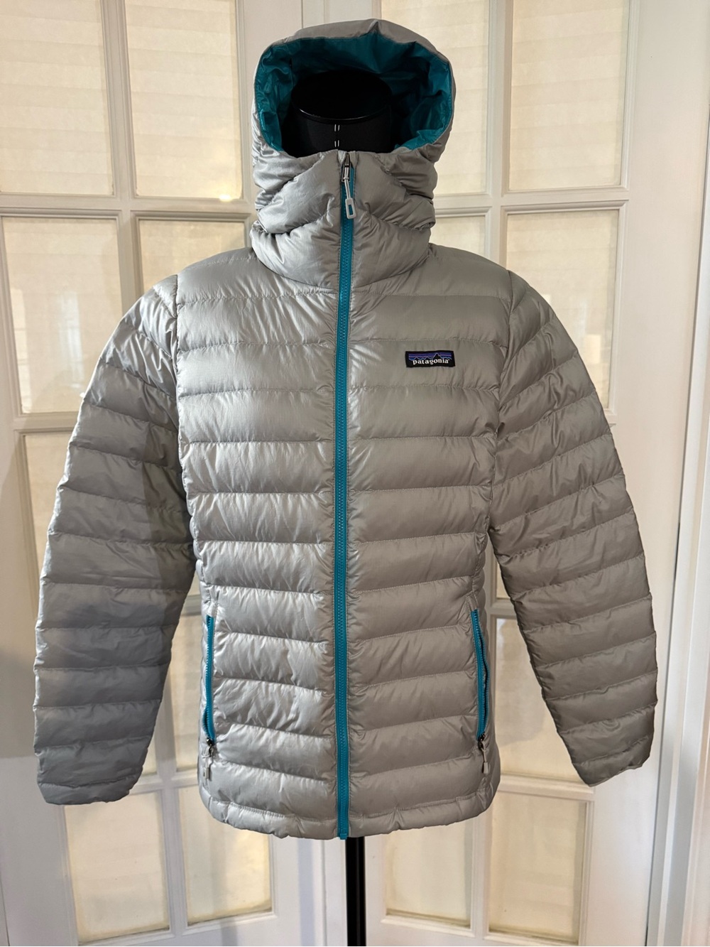 Patagonia Silver Puffer Jacket with Teal Accents